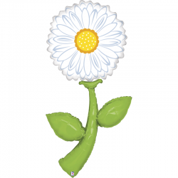 Ballon Marguerite Blanche...