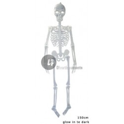 squelette phosphorescent 1m50