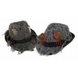 Chapeau Borsalino Halloween...