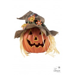Citrouille avec chapeau...