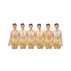 Collier hawaïen  multi...