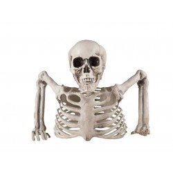 Demi squelette - à poser...