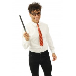 Set sorcier style HARRY...