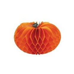 Citrouille alvéolée en...