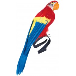 PERROQUET REALISTE...