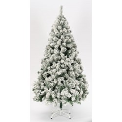 Arbre sapin vert enneigé...