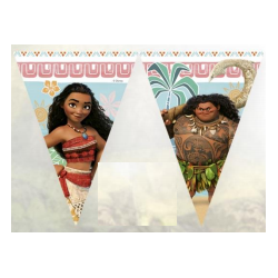 drapeau moana EPUISE