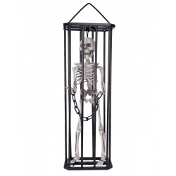 Squelette emprisonné - 43cm