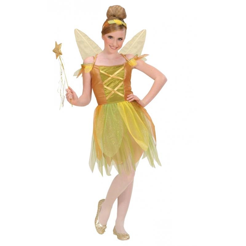 Costume de Fée des Bois 5/7 ans