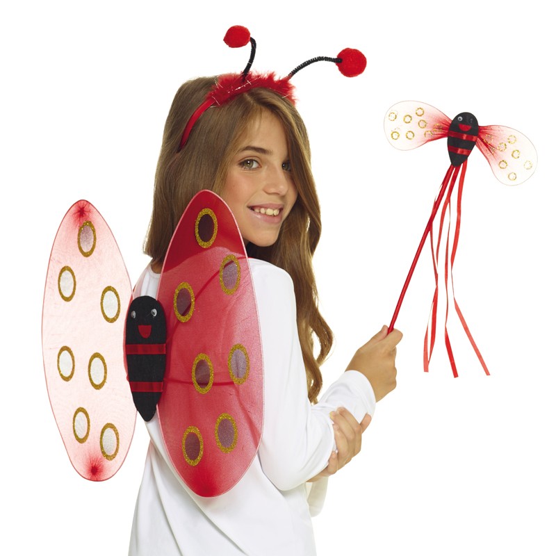 Set coccinelle enfant