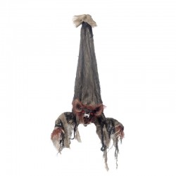 Chauve souris animée avec...