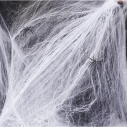 Toile d’araignée 100g et 6 araignees