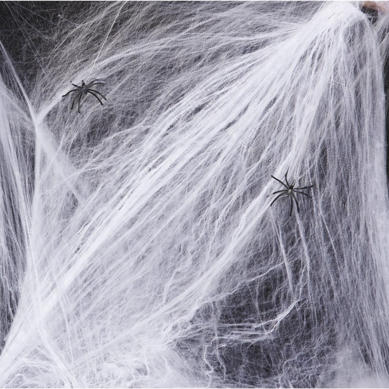 Toile d’araignée 100g et 6 araignees