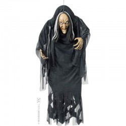 Sorcière D' halloween À...