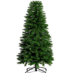 Sapin vert 2M10