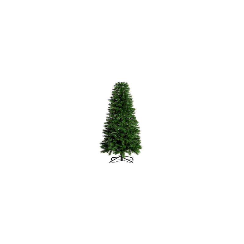 Sapin vert 2M10