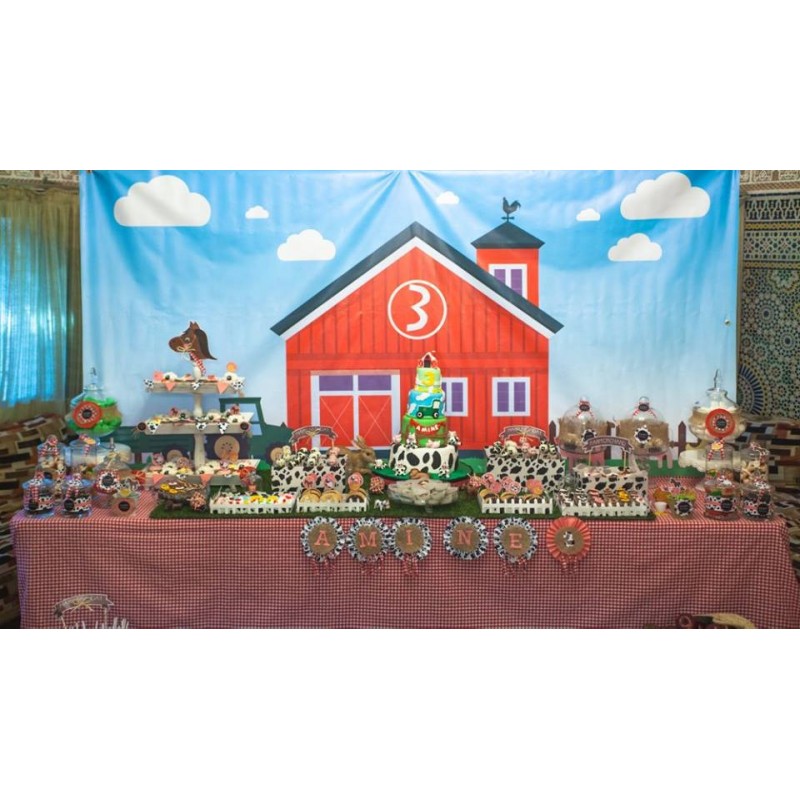 Anniversaire thème les animaux de la ferme