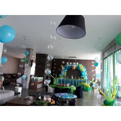 Anniversaire thème la tortue