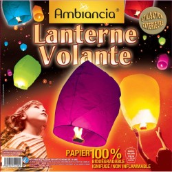 Lanterne volante assortie...