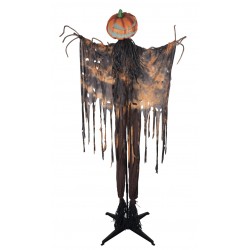 Epouvantail citrouille -...