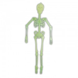 Squelette Articule Phospho...