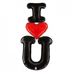 Ballon Aluminium 5′ I...