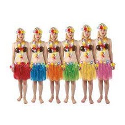 Jupe hawai 40 cm assorties...