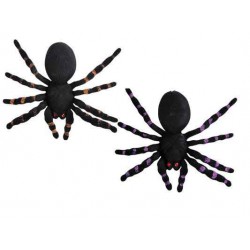 ARAIGNÉES (DIMENSION 20...