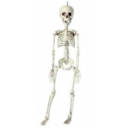 SQUELETTE A SUSPENDRE...