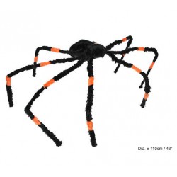 araignée vibrante et...