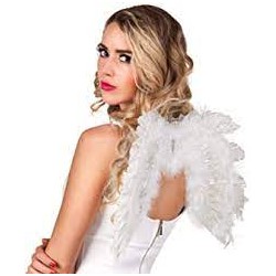 Paire d'ailes en plume...