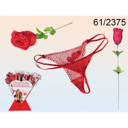 BELLE ROSE + STRING...