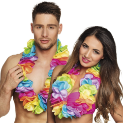 Collier hawaïen - flachy...