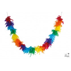 Boa plumes - 50 grs arc en...